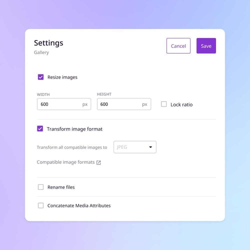 Digital asset formatting setting screenshot