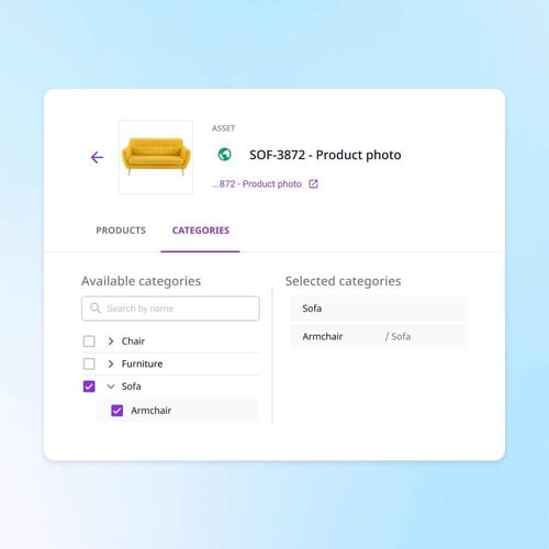 digital asset taxonomy preview