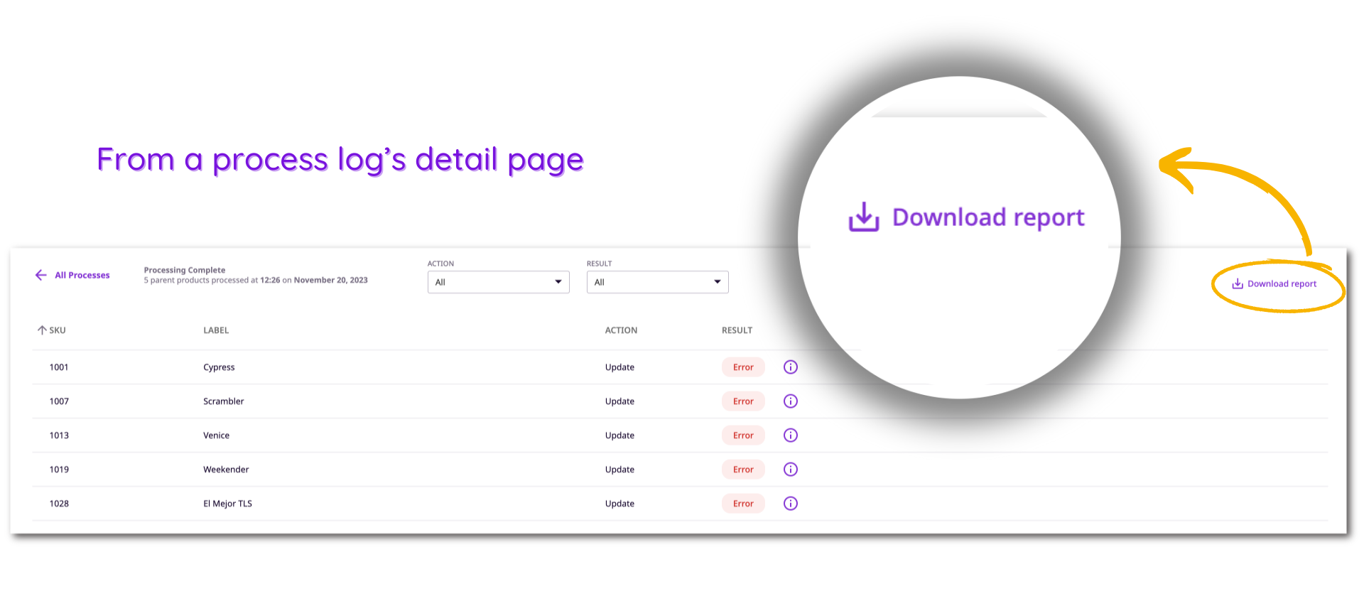 download process log from the detail page